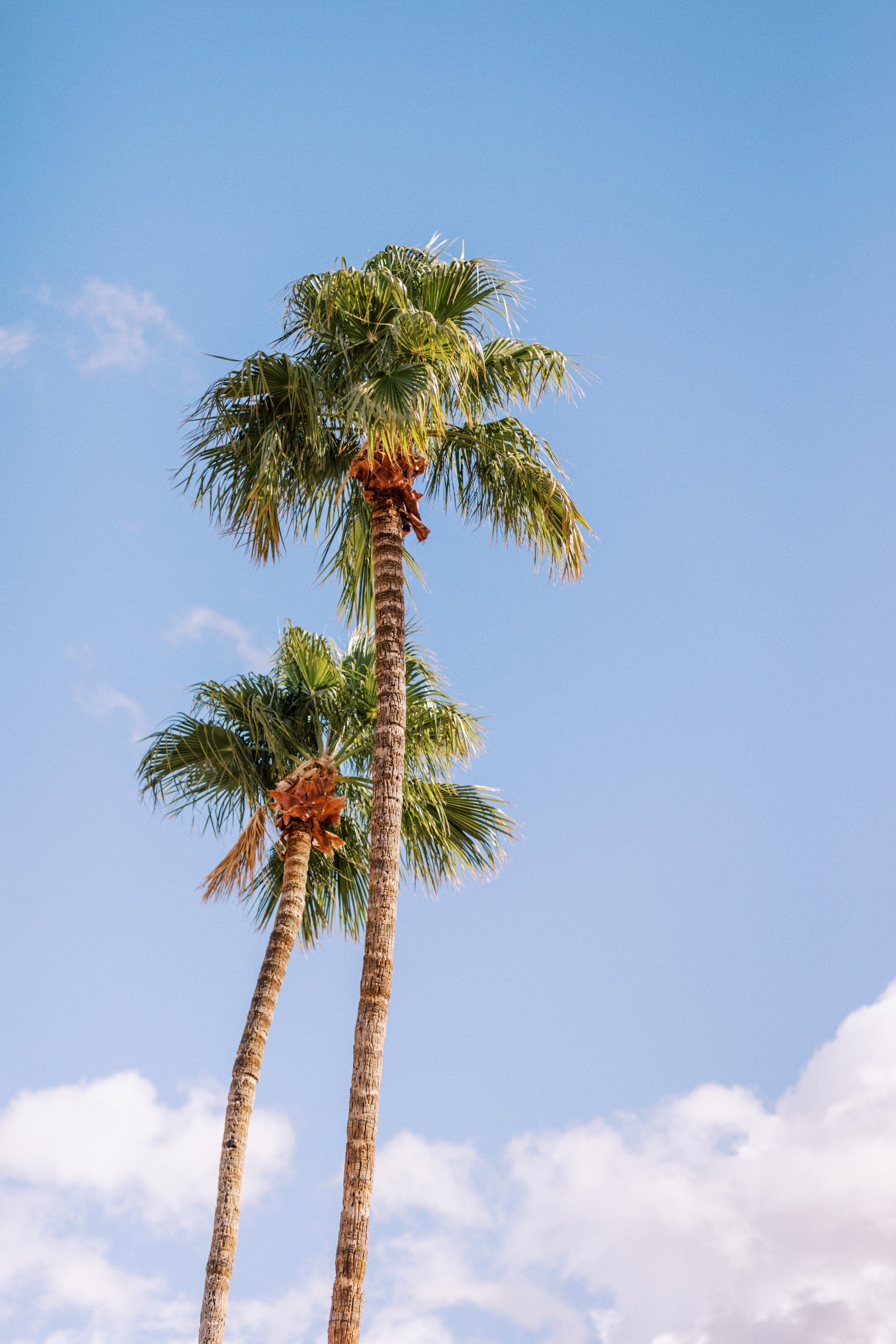 Scottsdale: The Heart of Desert Golf